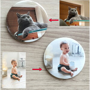 ʃobW 摜Ή CXg 蕨 Mtg v[g LOi ii ̓ hV̓ ސEj a j oYj