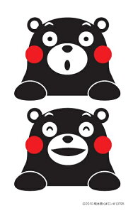 ܃XebJ[  120mm×190mm䎆 ܂ F{ n LN^[ 킢 CNWFbg/V[