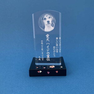 AN ybgʔv i₷炬pj/Ɨ׍H̑t///C