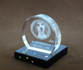 アクリル ペットお位牌 （やすらぎ円）/漆と螺鈿細工の台座付き/桜/水玉/ライン