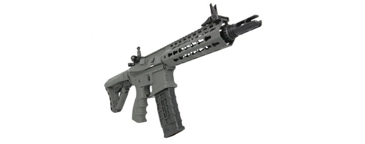楽天市場】【エントリー最大10倍＆3％クーポン】G&G CM16 SRS 