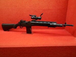AGM M14 SOCOM GA[RbLO yyz