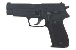 ^iJ fK SIG P226 Early type Evolution 2 ALL Heavy Weight