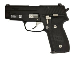 ^iJ fK SIG P228 gM11h Evolution 2 ALL Heavy Weight