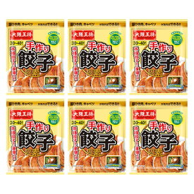 [6袋] 大阪王将 手作り餃子の素 30～40個分×6袋