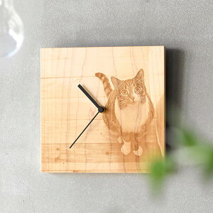 y Hacoa  z v u^ Ǌ| AW 20cm ؐ Mtg  k  킢 Vzj a j ybg oYj JXj ̓ ̓ NX}X ސEj ʉ