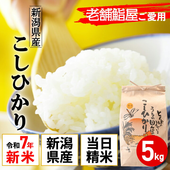 楽天市場】新米 新潟県産 令和7年産 コシヒカリ 5kg 5キロ 老舗江戸前 