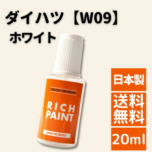 ���b�N�y�C���g �_�C�n�c �z���C�g W09 �� ��߂Ȃ� �^�b�`�y�� �^�b�`�A�b�v�y�� �^���g �~���C�[�X DIY ��C �{�f�B �� �L�Y �y�� RICHPAINT