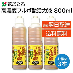 Ԃ Zxt{_͉t A^bNT-1 800ml 3{Zbg ̒ tʎUz  o  n[u ϗtA ʎ Ԗ ܂ Ȃ