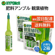 ハイポネックス アンプル 肥料 2箱 観葉植物用 30ml 10本入り 簡単 便利 緑を鮮やかに丈夫 植木鉢 プラン…