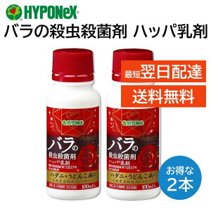 o̎EEۍ nbp 100ml nC|lbNX 2{Zbg Ŕ߂ăXv[ VR n_ ǂ񂱕aȂǂɗL 񂫂 イ ڂ YbL[j Ή uAgK[