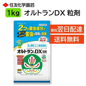 IgDX  1kg E ϗtA o   g}g Ȃ イ K[x xSjA A K[fjO AuVAAU~E}ށARKlVAARKlVAnO