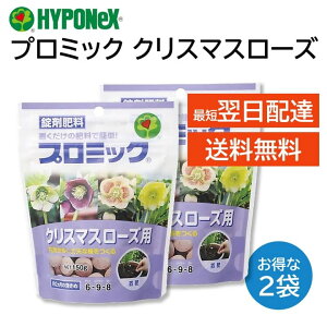 v~bN ܔ엿 NX}X[Yp 2܃Zbg nC|lbNX ԐvɈĂ u A A v^[ HYPONeX