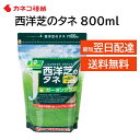 西洋芝の種 芝生 種 15平米 4.5坪分 800ml 日本の気候に適した配合 家庭 隙間 補修 高品質 初心者の方にもおすすめ DI…