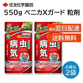 ベニカXガード 粒剤 550g 2袋セット 殺虫剤 殺菌剤 害虫駆除 病気 予防 バラ 多肉 野菜 観葉植物 アブラムシ コガネムシ うどんこ病 黒星病 灰色かび病 など 住友化学園芸