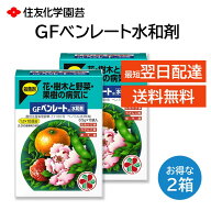 GF ベンレート水和剤 0.5g 10袋 2箱セット 殺菌剤 予防 治療 花 樹木 野菜 果樹 住友化学園芸