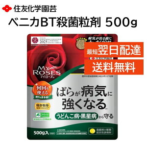 }C[Y xjJBTEۗ 500g ΂炪aCɋȂ ǂ񂱕a a \h g ZFw|