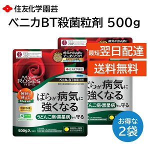 }C[Y xjJBTEۗ 500g 2܃Zbg ΂炪aCɋȂ ǂ񂱕a a \h g ZFw|