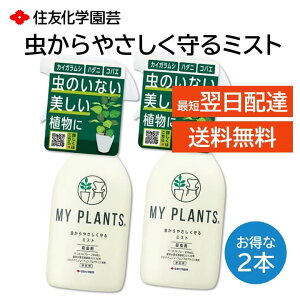 ₳~Xg MY PLANTS E 쏜 Xv[ 250ml 2{Zbg ϗtA    K[fjO PV JCKV CK ccWOoC AuV n_j nOoG 