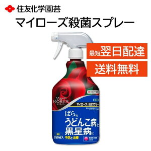 }C[Y EۃXv[ 950ml o KN ǂ񂱕a a \h  Uz Eۍ Ȃ aۂ̑ގ ϗtA ZFw|