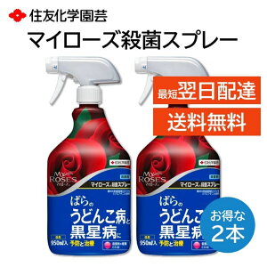 }C[Y EۃXv[ 950ml 2{Zbg o KN ǂ񂱕a a \h  Uz Eۍ Ȃ aۂ̑ގ ϗtA ZFw|