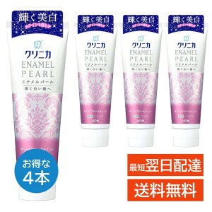 NjJ Gip[ zCgt[~g 130g  Ki 4{Zbg CI LION n~KL 𔒂 L\h V\h C̏yѕt\h