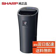 シャープ プラズマクラスター 車載 イオン発生機 IG-NX15-B カップホルダー ブラック 卓上 デスク 空気清…