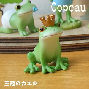 Copeau R|[ X^_[h ̃JG JG u 