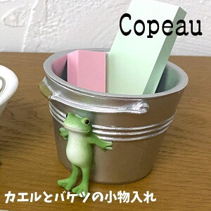 Copeau R|[ Xe[Vi[ JGƃoPc̏ JG u 