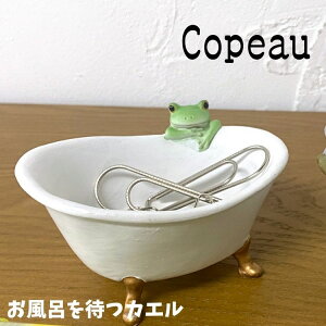 Copeau R|[ Xe[Vi[ C҂JG JG u 