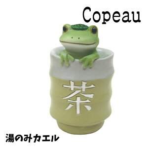 Copeau R|[ X^_[h ̂݃JG JG u 