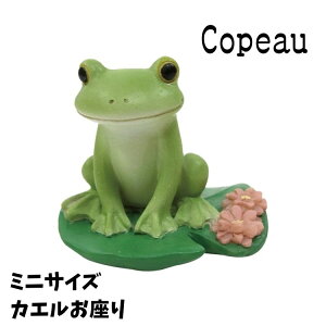 Copeau R|[ X^_[h JG ~jTCY JG u 
