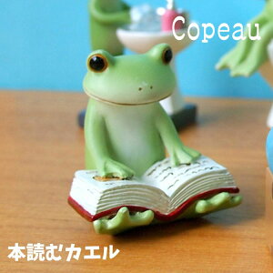 Copeau R|[ X^_[h {ǂރJG JG u 