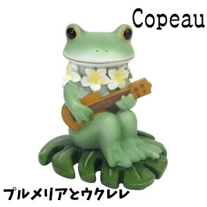 Copeau R|[ t XvO vAƃEN JG u 