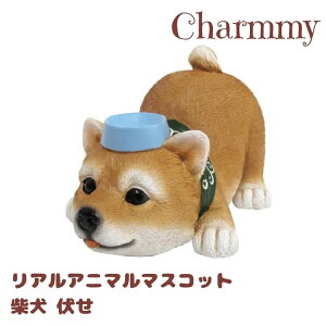 Charmmy `[~[ AAj} }XRbg Č 