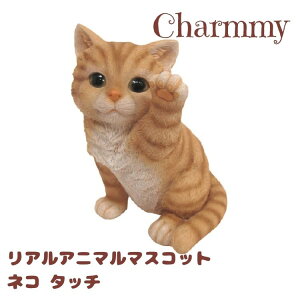 Charmmy `[~[ AAj} }XRbg lR ^b`