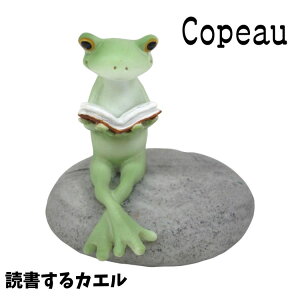 Copeau R|[ X^_[h ǏJG JG u 
