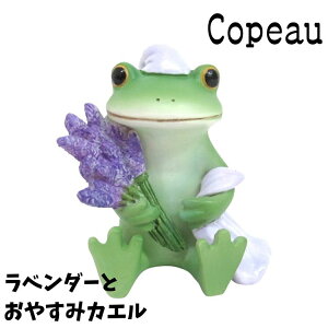 Copeau R|[ t XvO x_[ƂxݑOJG JG u 