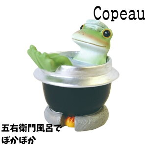 Copeau R|[ ~ EC^[ ܉Eq啗Cłۂۂ JG u 