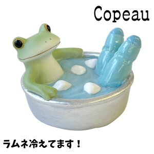 Copeau R|[  T}[ _Cƃl JG u 
