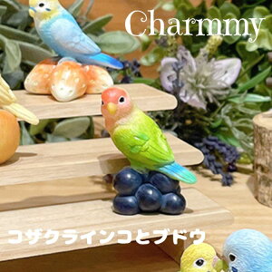 Charmmy `[~[ RUNCRƃuhE