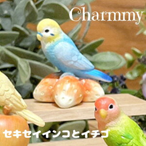 Charmmy `[~[ ZLZCCRƃC`S