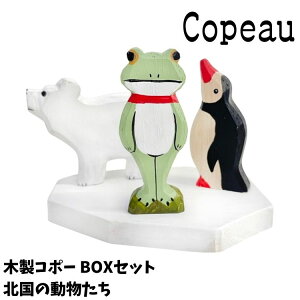 Copeau R|[ ؐ BOXZbg Zbg k̓ JG u 