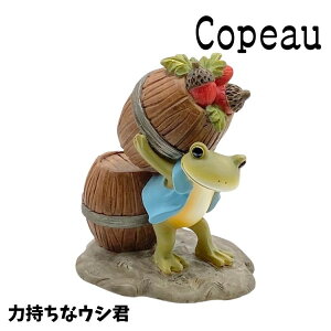 Copeau R|[ BbW ͎ȃEVN JG u 