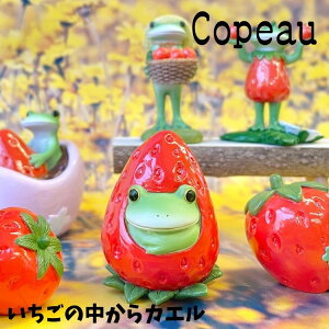 Copeau R|[ t XvO ̒JG JG u 