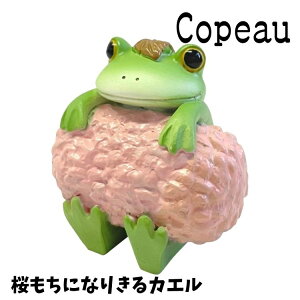 Copeau R|[ t XvO ɂȂ肫JG JG u 