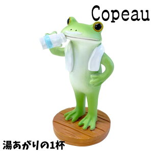 Copeau R|[ TEi ̋ JG u 