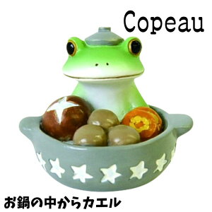 Copeau R|[ ~ EC^[ ̒JG JG u 
