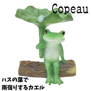 Copeau R|[ ~J Cj[ nX̗tŉJh肷JG JG u 