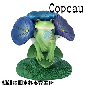 Copeau R|[ ~J Cj[ Ɉ͂܂JG JG u 